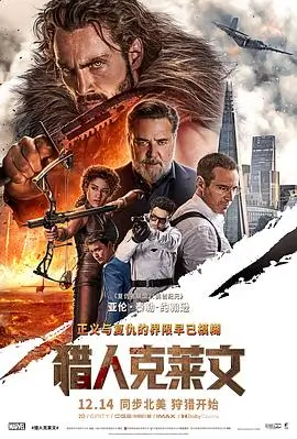 航空爱情法国电影三万英尺的信海报